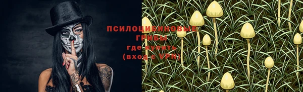 тгк Вязьма